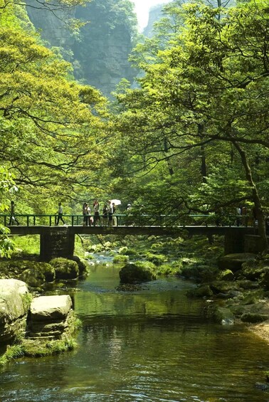 A bridge over a stream in a forested area with people walking on it. 4