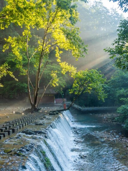 A waterfall, a tree, and a building in a forested area. 2