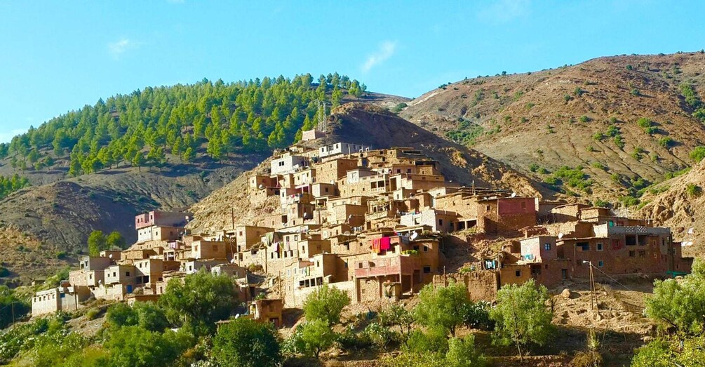 A village with terraced houses built into a hillside, surrounded by trees and mountains. 3