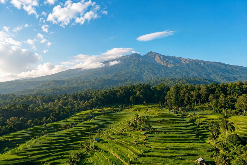 Picture 14 for Activity Authentic Lombok: Nature, Tradition & Historic Heritage 4