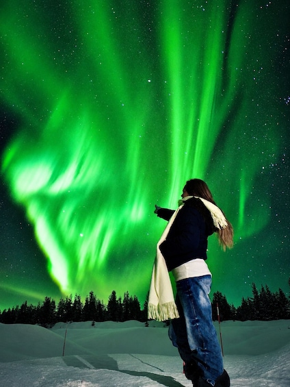 A person standing in a snowy landscape under a vibrant green aurora borealis. 1