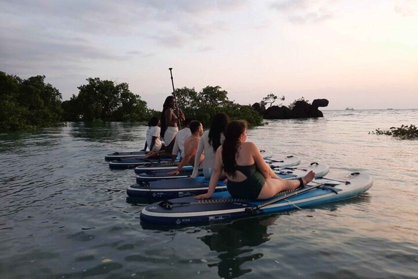 Picture 4 for Activity Zanzibar: Mangrove Kayaking and Village tour with Fruits 3