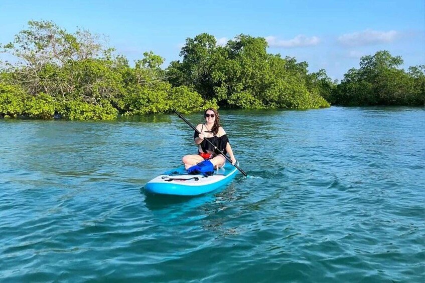 Picture 3 for Activity Zanzibar: Mangrove Kayaking and Village tour with Fruits 4