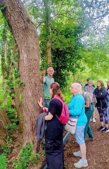 Picture 10 for Activity Glastonbury: Full-Day Guided Walking Tour 2