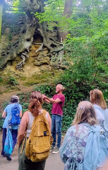 Glastonbury: Full-Day Guided Walking Tour 1