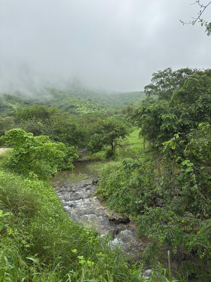 A river flowing through a lush, green landscape with dense vegetation and a misty atmosphere. 3