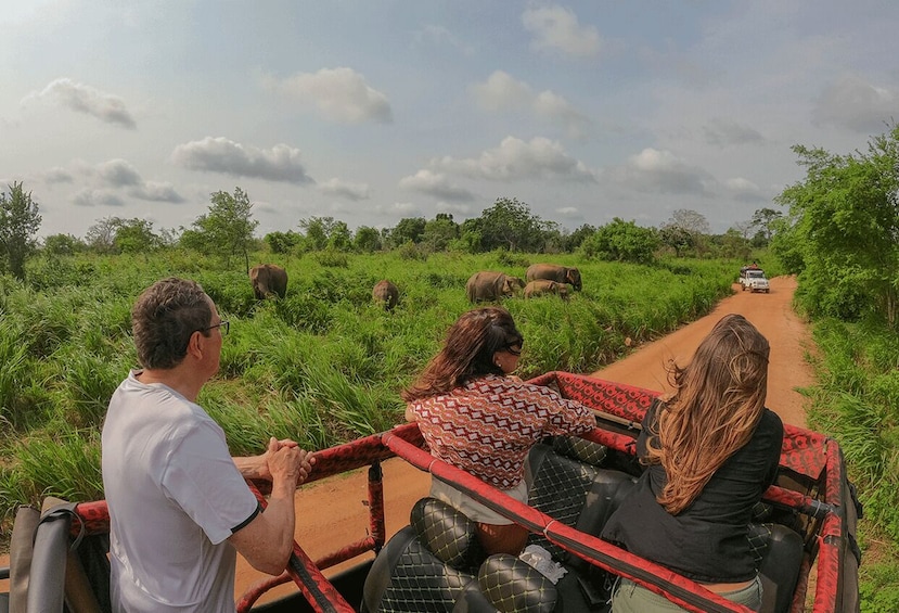 A safari vehicle on a dirt road with elephants in the background. 3