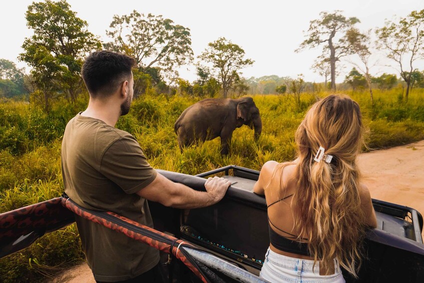 A man and a woman observing an elephant in a grassy savannah. 1