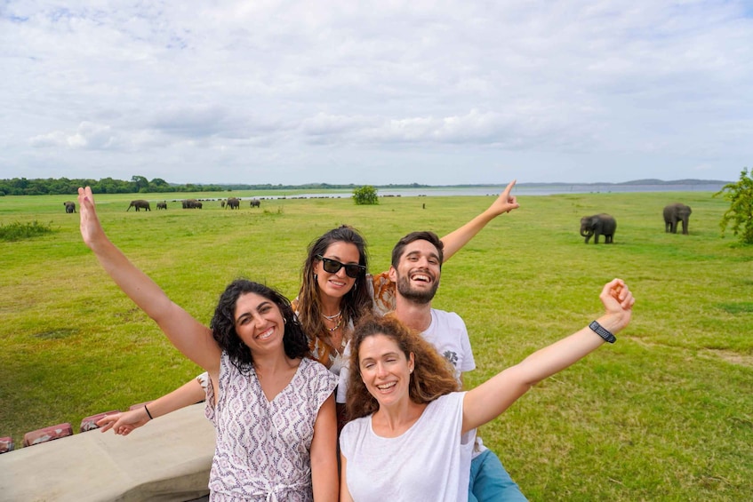 A group of people in a grassy field with elephants in the background. 2