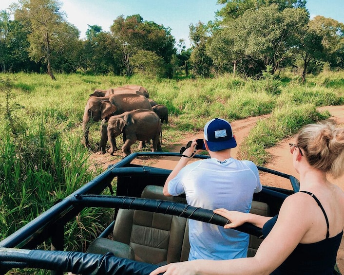 A safari vehicle with two people observing elephants in a grassy area. 1