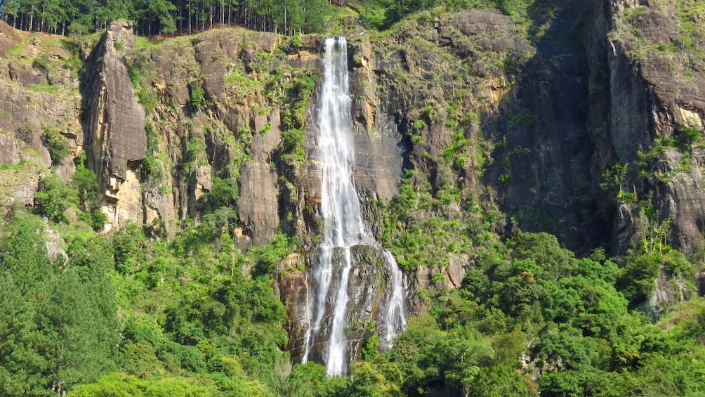 Ein Wasserfall stürzt über eine felsige Klippe, umgeben von dichtem, grünen Wald. 5