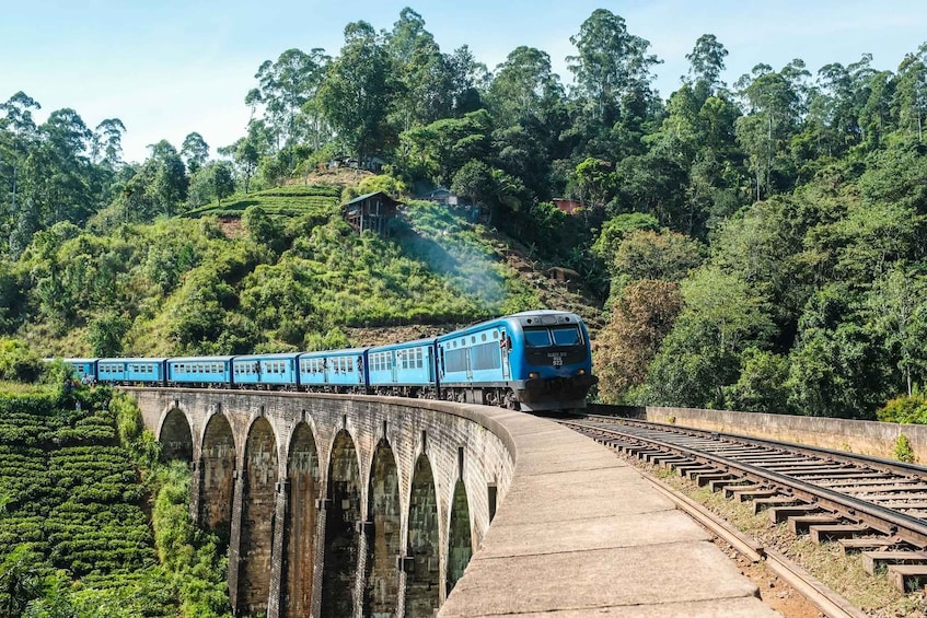 Ein blauer Zug auf einer Brücke über einer üppigen grünen Landschaft. 4