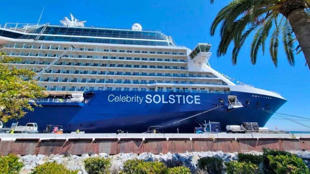 A large cruise ship named Celebrity SOLSTICE docked at a port with palm trees and rocky terrain in the foreground. 1