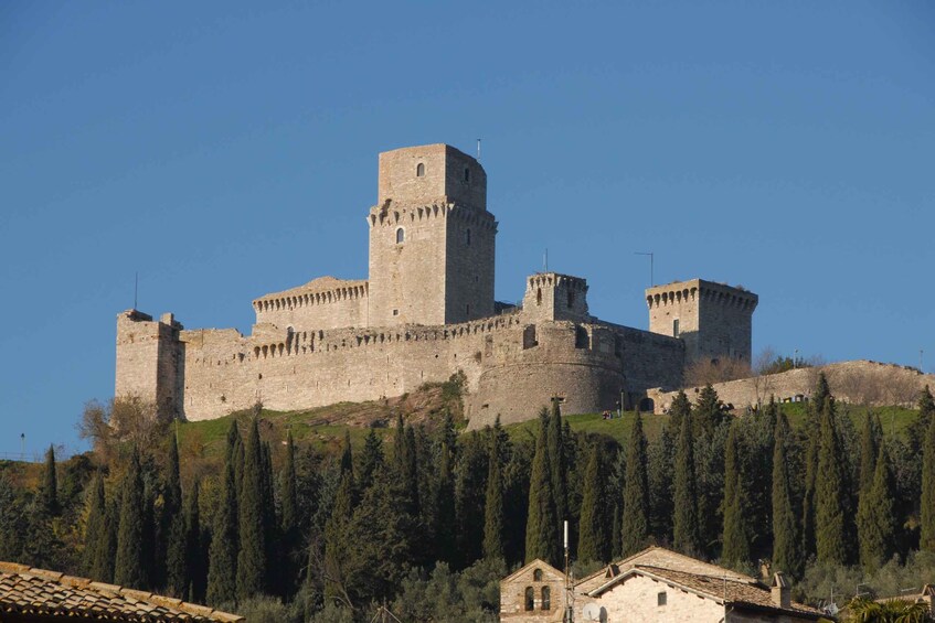 A medieval castle on a hill with a clear sky. 2