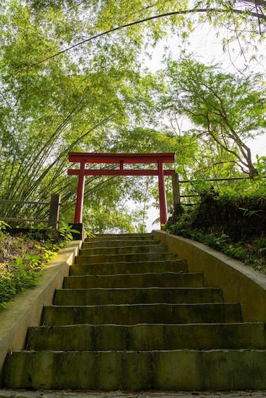 A staircase leading up to a red torii gate surrounded by bamboo trees. 2