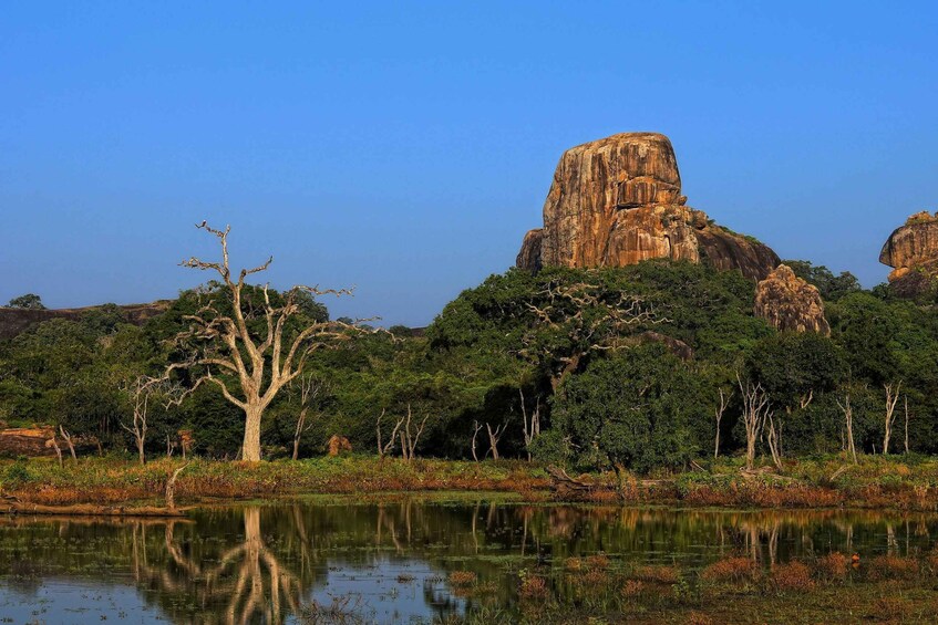 A landscape with a large rock formation, a reflective body of water, and scattered trees. 5