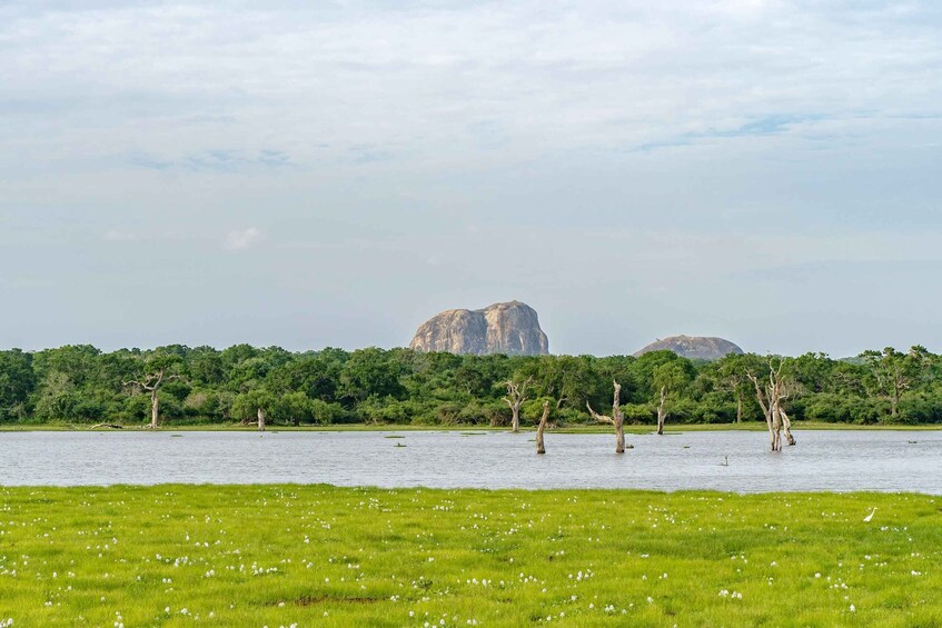 A river with trees and a large rock formation in the background. 4