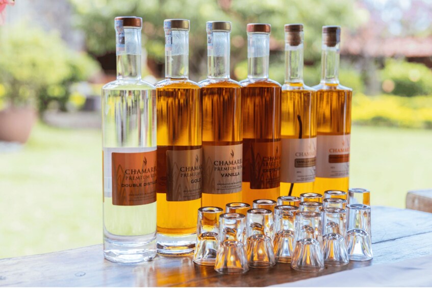 A row of Chameleon Premium Rum Vanilla bottles and shot glasses on a wooden surface. 3