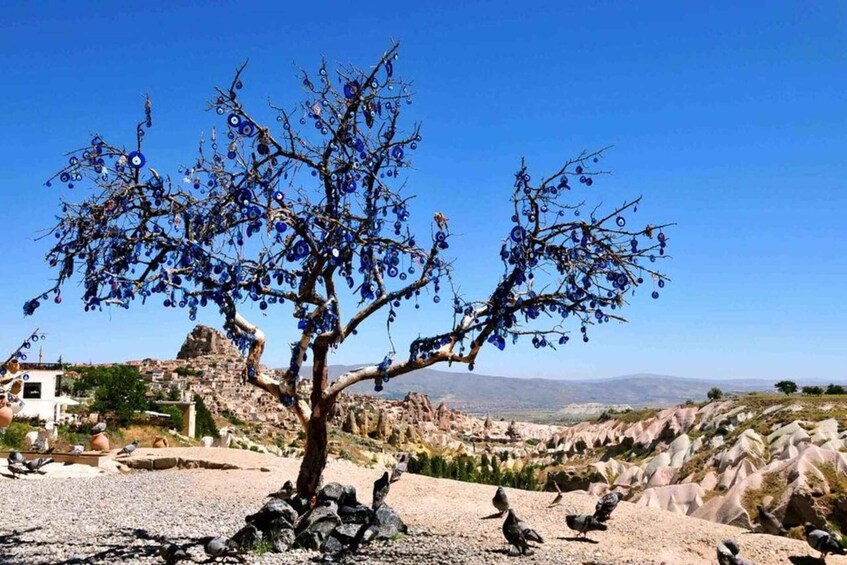 A tree with blue flowers, a rocky landscape, and a distant view of a village. 5