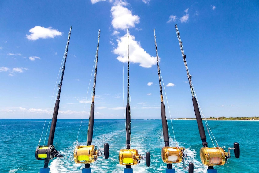 Four fishing rods with reels in the ocean. 4