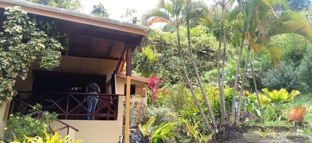 A person standing on a balcony of a building surrounded by lush tropical vegetation. 5