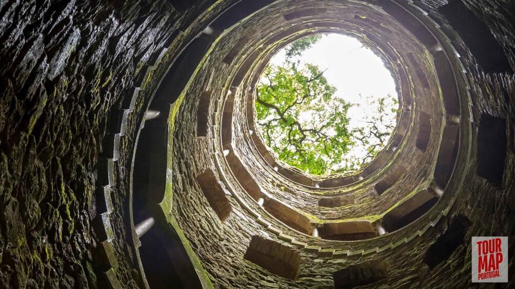 Una struttura circolare in pietra con un albero visibile al centro. 1