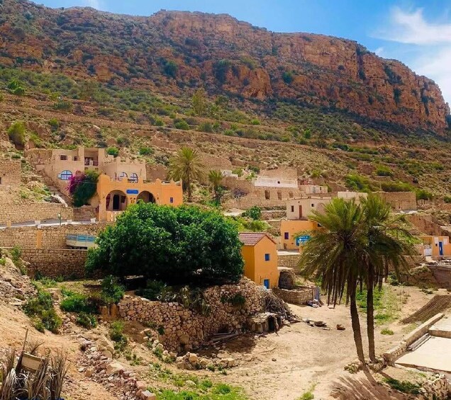 Picture 46 for Activity Djerba & Zarzis: 2 Day Matmata, Chenini & Ksar Ghilane Oasis 5