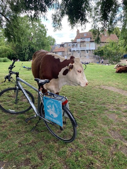 Cambridge: Grantchester Bike Tour 1