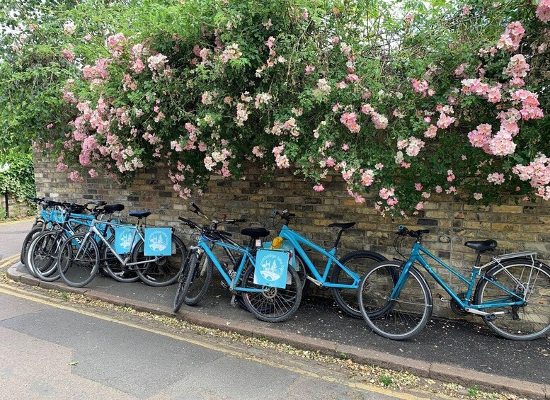 Picture 1 for Activity Cambridge: Grantchester Bike Tour 2
