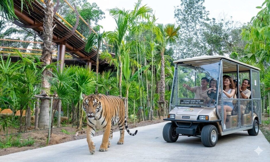 A tiger walking beside a safari vehicle in a tropical setting. 2
