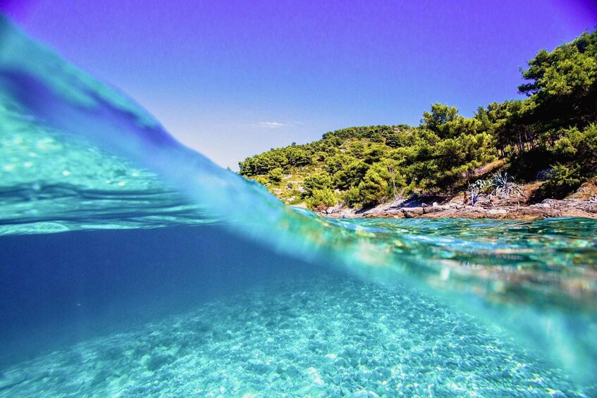Picture 5 for Activity Hvar Tour from Split - Full Day Tour 5