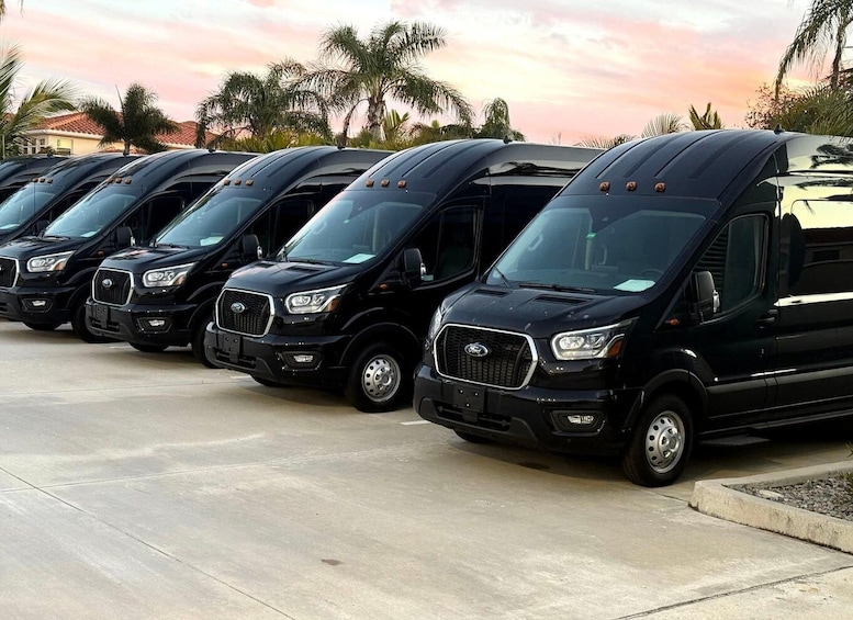 Picture 3 for Activity Orlando: Port Canaveral Transfer Service 4