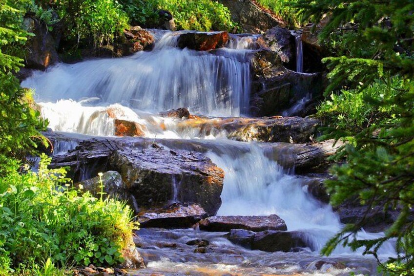 Half-Day Rocky Mountain National Park "Lake and Meadows Tour" 5