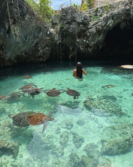 A person swimming with sea turtles in clear water near a rocky cave. 5