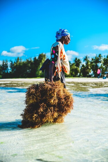 Picture 4 for Activity Zanzibar: Seaweed Farm and Salaam Cave Tour with Swim 4