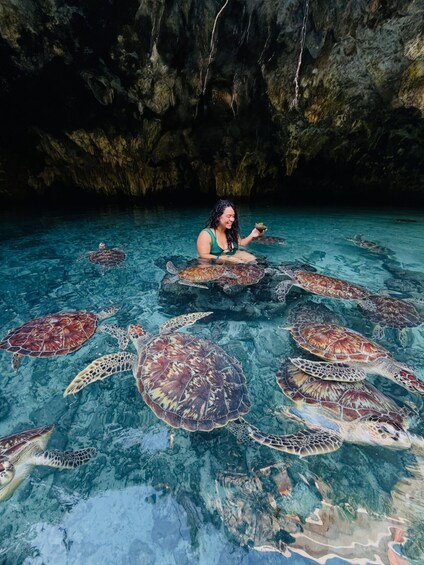 A person in a blue swimsuit surrounded by sea turtles in clear blue water with rocky cave walls in the background. 4