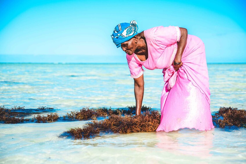 Picture 10 for Activity Zanzibar: Seaweed Farm and Salaam Cave Tour with Swim 5