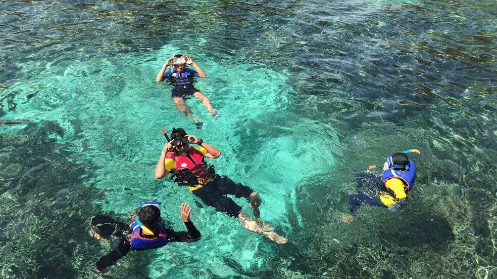 Four people snorkeling in clear blue water. 4