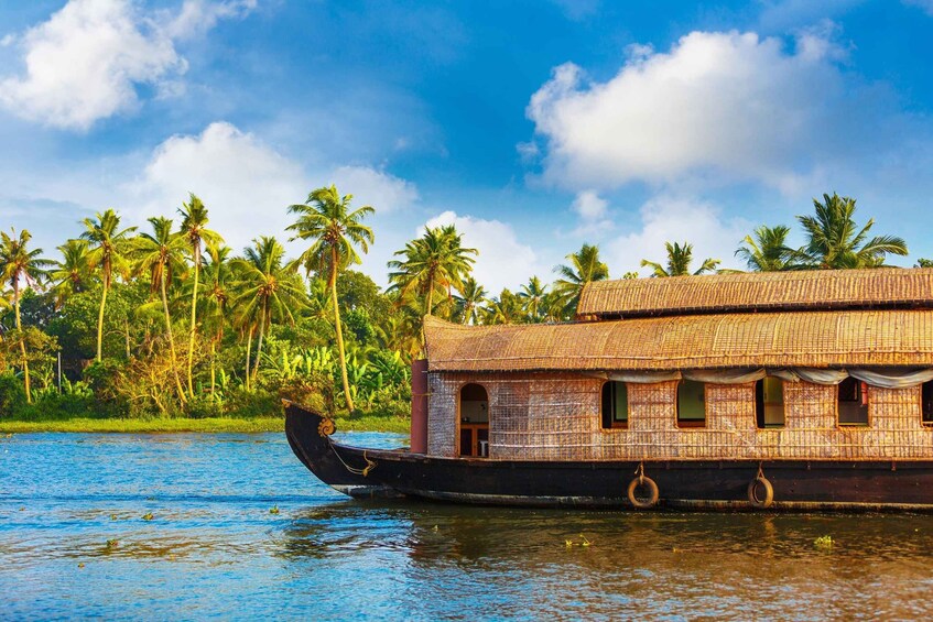 A traditional boat with a thatched roof, surrounded by palm trees and calm water. 1