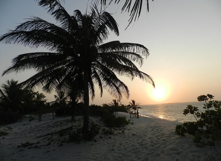 Picture 7 for Activity Day trip to Atins through the Lencois Maranhenses 4