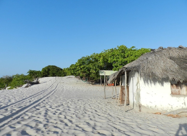 Picture 1 for Activity Day trip to Atins through the Lencois Maranhenses 3
