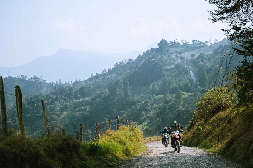 Two motorcyclists on a narrow, winding road surrounded by lush greenery and hills. 1