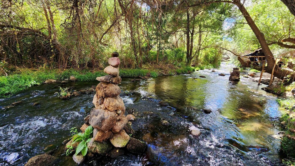 A stream with a stack of rocks in a forested area. 1