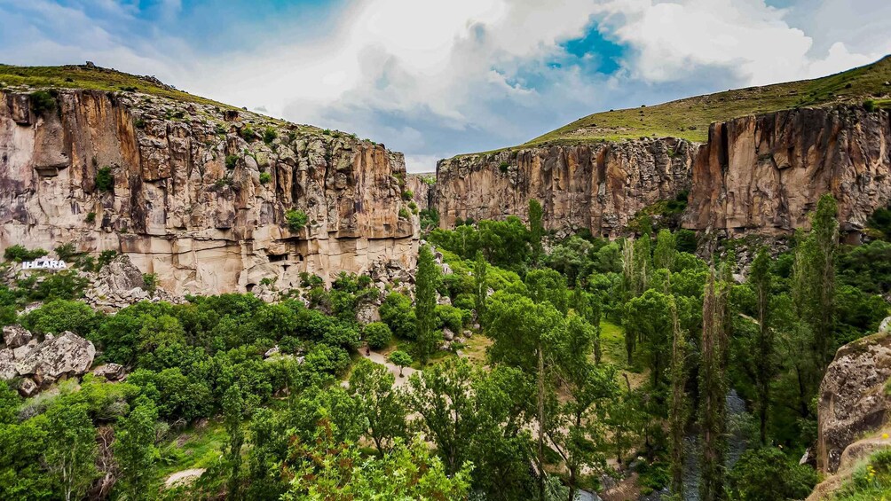 A canyon with steep rock walls and dense green vegetation. 2