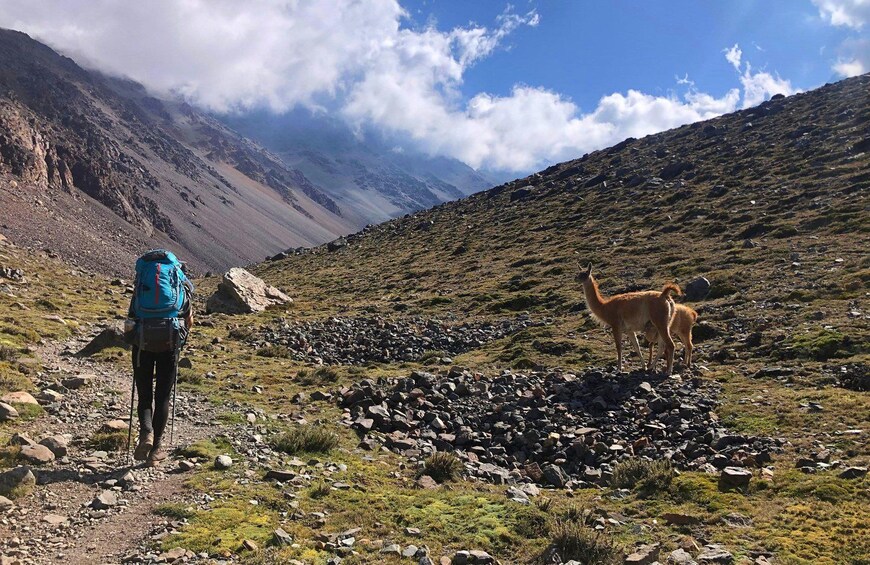 Frontal Andes Hike with Homemade Lunch and Mate Tasting 1