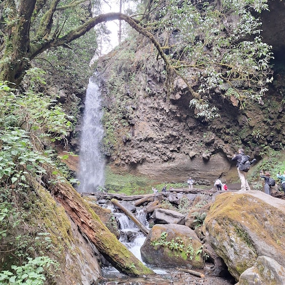 Mexico City: Bubble Waterfall Private Hike with Pickup 1