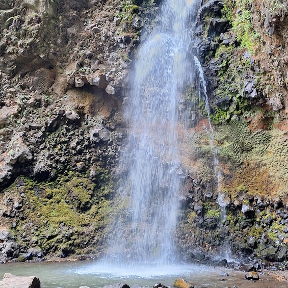 Picture 4 for Activity Mexico City: Bubble Waterfall Private Hike with Pickup 4
