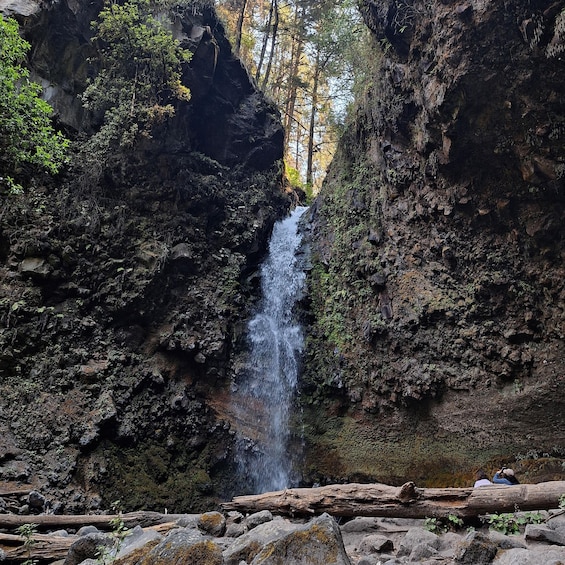 Picture 5 for Activity Mexico City: Bubble Waterfall Private Hike with Pickup 5