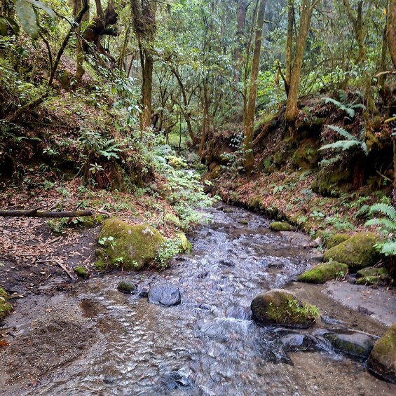 Picture 1 for Activity Mexico City: Bubble Waterfall Private Hike with Pickup 3