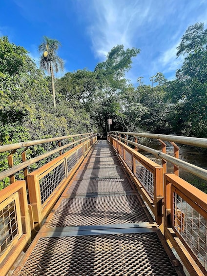 A wooden pedestrian bridge with metal grating, surrounded by lush greenery and trees. 2